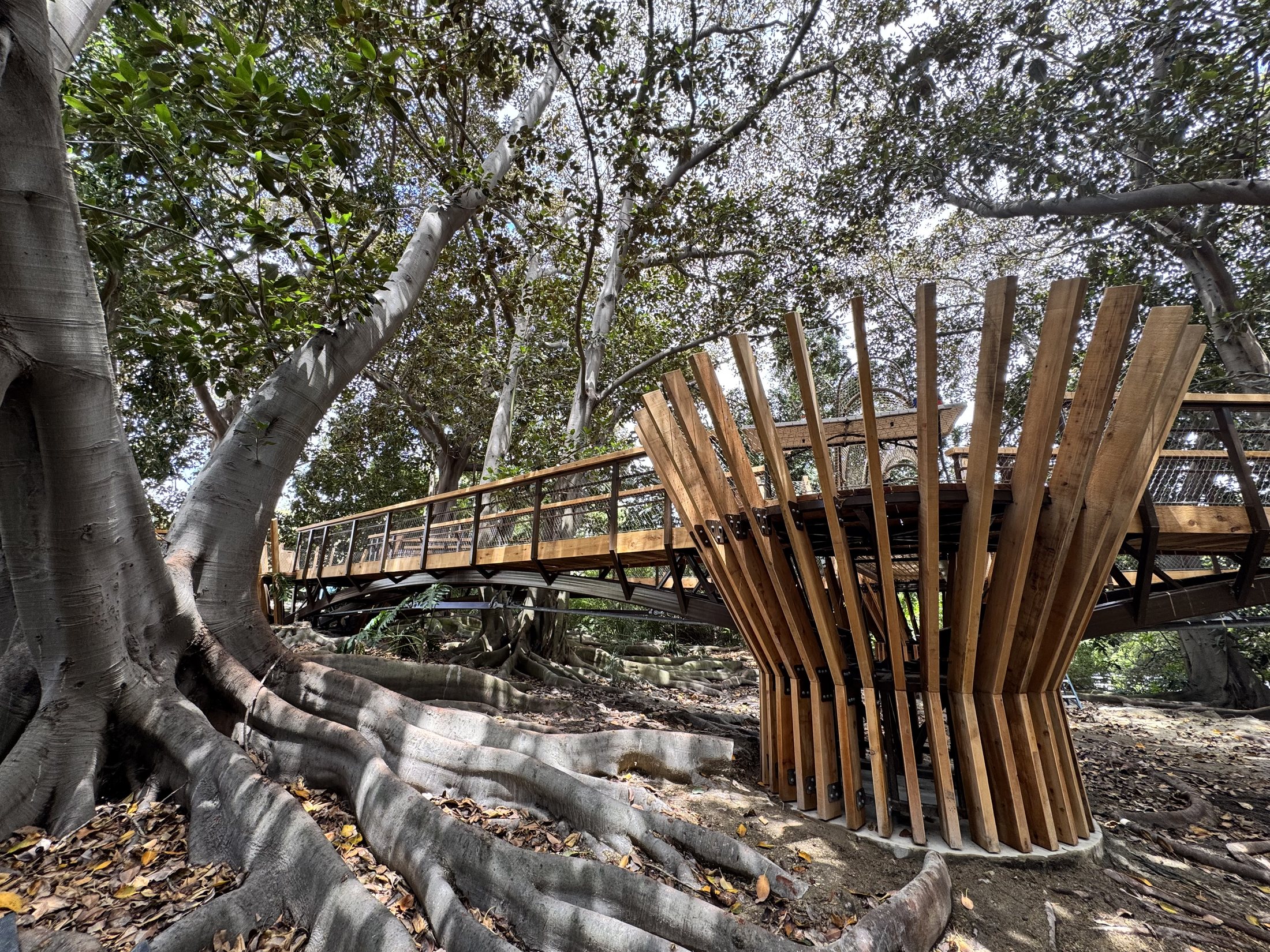 South Coast Botanic Garden project view 21